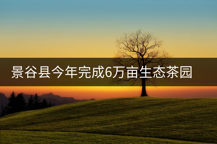 景谷縣今年完成6萬(wàn)畝生態(tài)茶園建設(shè) 景谷縣今年完成6萬(wàn)畝生態(tài)茶園建設(shè)