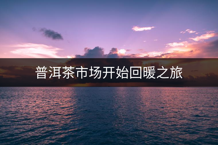 普洱茶市場(chǎng)開始回暖之旅