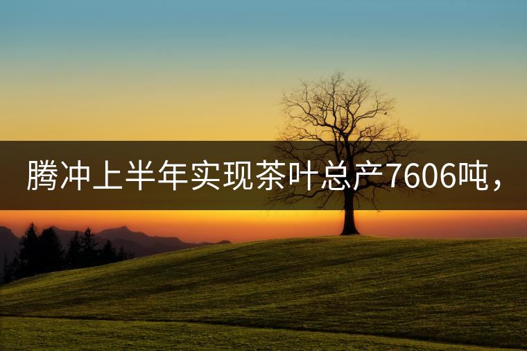 騰沖上半年實現(xiàn)茶葉總產(chǎn)7606噸，總產(chǎn)值5.58億元