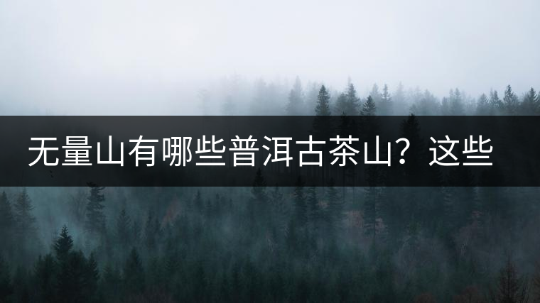 無(wú)量山有哪些普洱古茶山？這些古茶山的茶葉怎么樣？