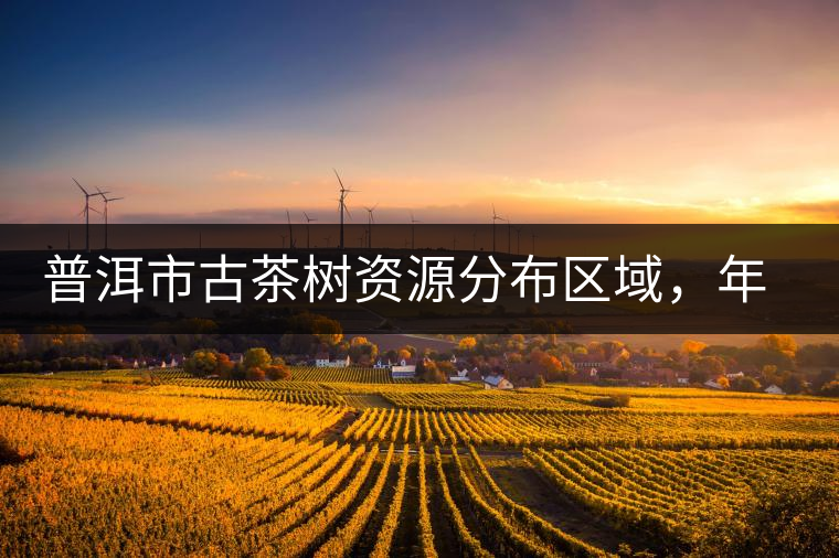 普洱市古茶樹資源分布區(qū)域，年產量多少?