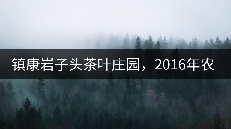 鎮(zhèn)康巖子頭茶葉莊園，2016年農(nóng)業(yè)產(chǎn)值達6000余萬元