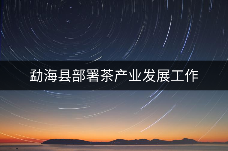 勐?？h部署茶產(chǎn)業(yè)發(fā)展工作