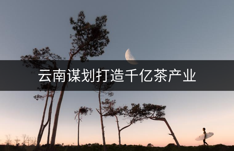 云南謀劃打造千億茶產業(yè)