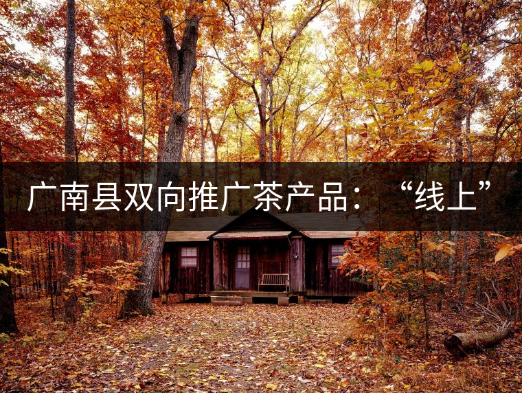 廣南縣雙向推廣茶產(chǎn)品：“線上”銷售茶葉已有100多家，“線下”銷售額已達百萬