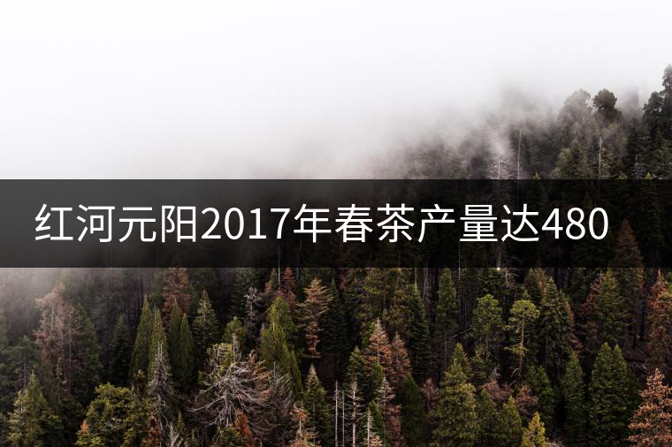 紅河元陽(yáng)2017年春茶產(chǎn)量達(dá)480噸，產(chǎn)值近900萬(wàn)元