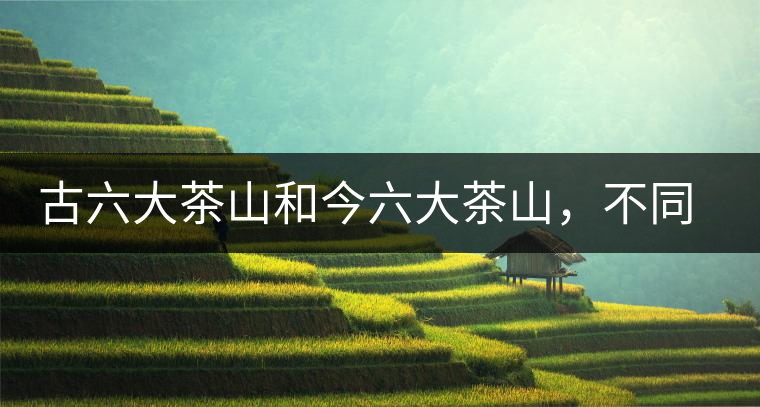 古六大茶山和今六大茶山，不同普洱茶品質(zhì)