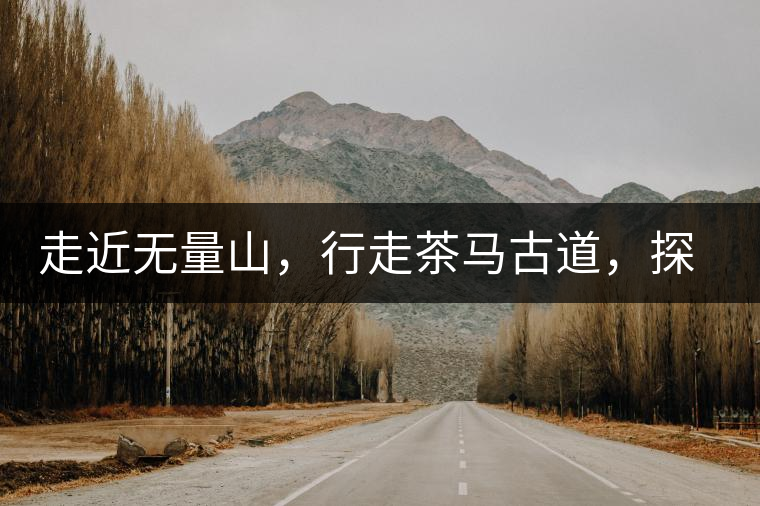 走近無量山，行走茶馬古道，探訪云南千年茶山