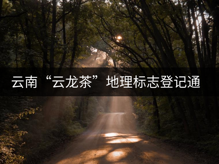 云南“云龍茶”地理標(biāo)志登記通過(guò)專家評(píng)審