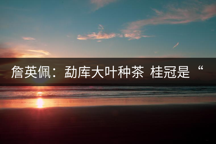 詹英佩：勐庫大葉種茶  桂冠是“正宗”