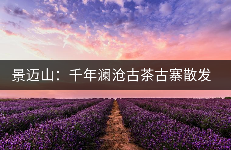 景邁山:千年瀾滄古茶古寨散發(fā)醇厚余香 景邁山:千年瀾滄古茶古寨散發(fā)醇厚余香