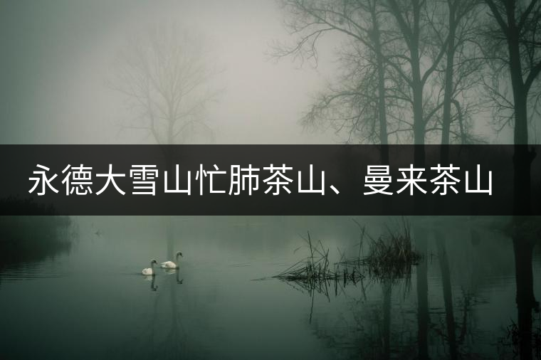 永德大雪山忙肺茶山、曼來(lái)茶山、放牛場(chǎng)茶園的生態(tài)指數(shù)