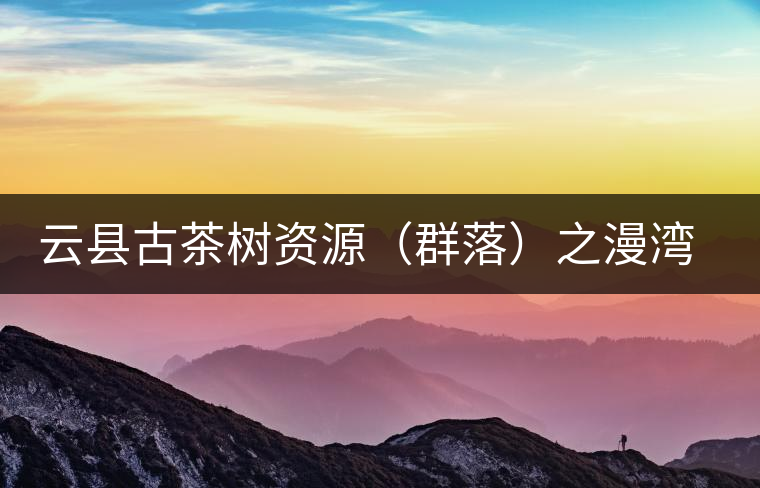 云縣古茶樹資源（群落）之漫灣鎮(zhèn)、茂蘭鎮(zhèn)大丙山