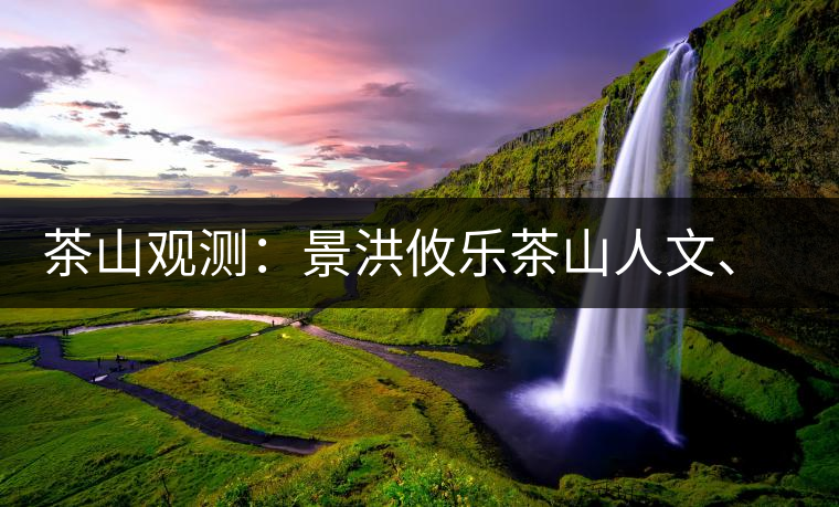 茶山觀測：景洪攸樂茶山人文、生態(tài)指數(shù)