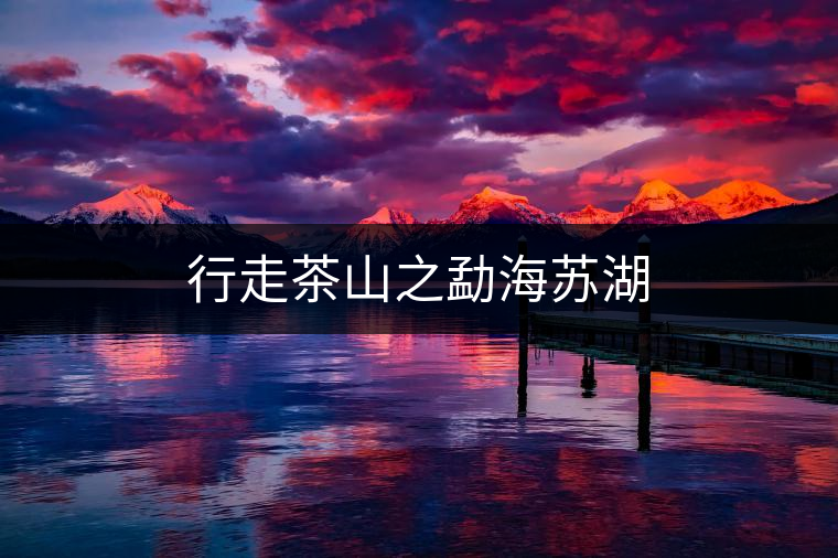 行走茶山之勐海蘇湖