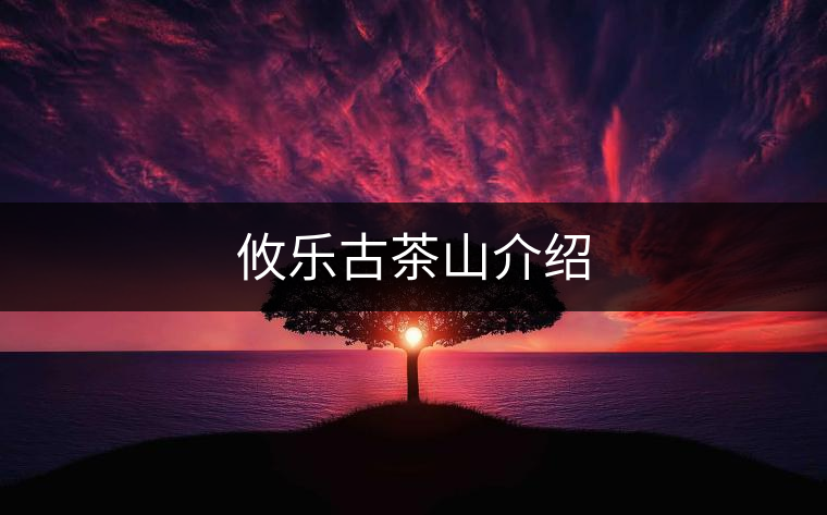 攸樂(lè)古茶山介紹