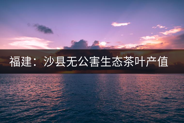 福建：沙縣無(wú)公害生態(tài)茶葉產(chǎn)值超億元