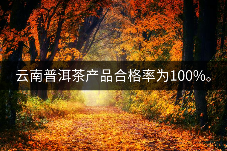 云南普洱茶產(chǎn)品合格率為100%。