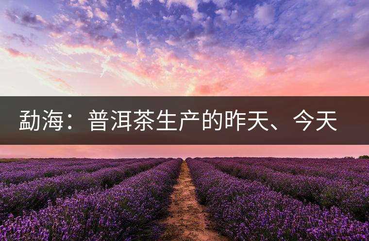 勐海：普洱茶生產(chǎn)的昨天、今天、明天