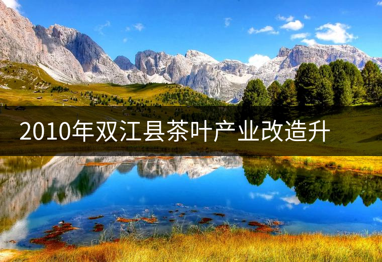 2010年雙江縣茶葉產(chǎn)業(yè)改造升級(jí)步伐加快