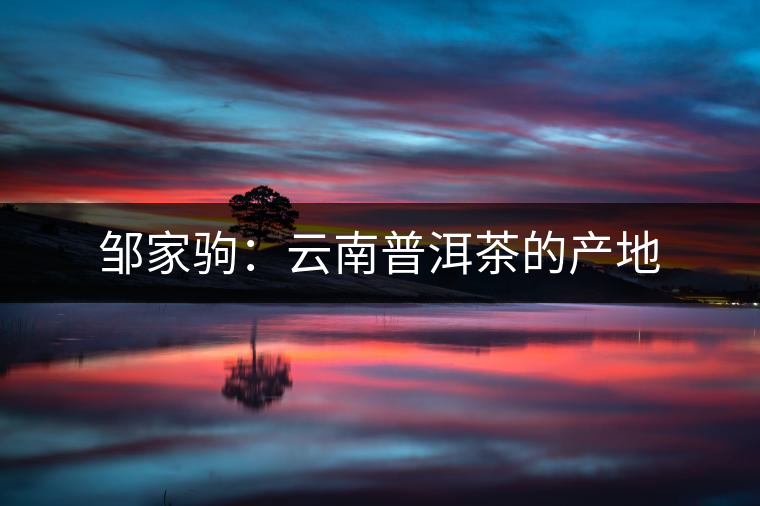 鄒家駒：云南普洱茶的產(chǎn)地