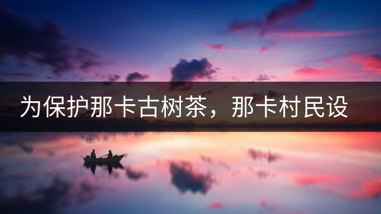 為保護(hù)那卡古樹茶，那卡村民設(shè)公約牌