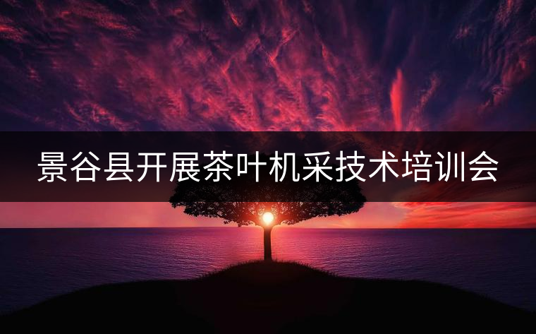 景谷縣開展茶葉機(jī)采技術(shù)培訓(xùn)會(huì)