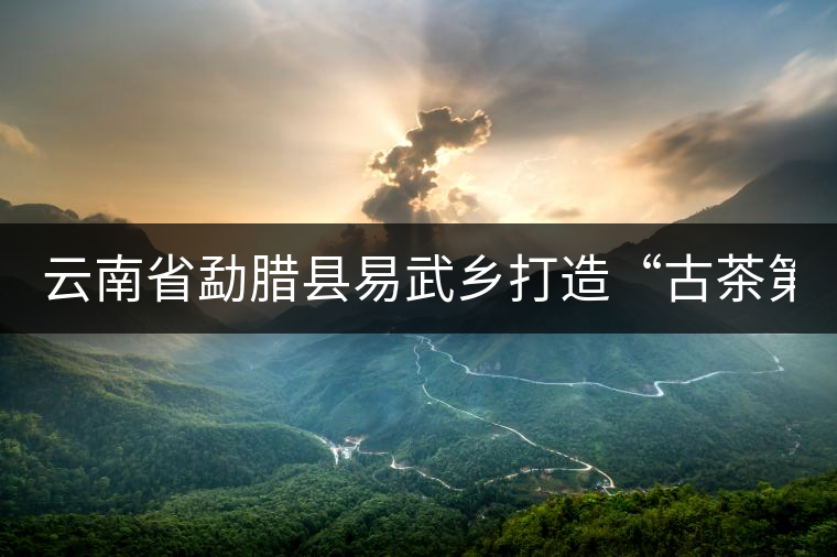 云南省勐臘縣易武鄉(xiāng)打造“古茶第一鎮(zhèn)” 云南省勐臘縣易武鄉(xiāng)打造“古茶第一鎮(zhèn)”