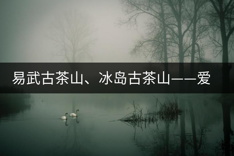 易武古茶山、冰島古茶山——愛茶人的旅游選擇