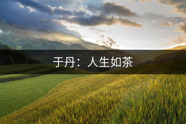 于丹：人生如茶