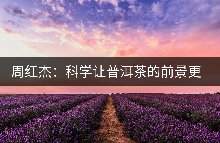 周紅杰：科學(xué)讓普洱茶的前景更明朗