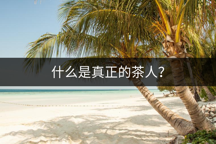 什么是真正的茶人？