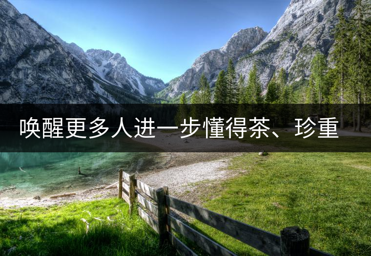 喚醒更多人進一步懂得茶、珍重茶、享受茶