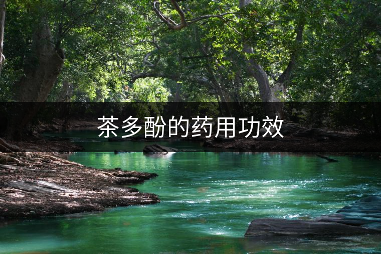茶多酚的藥用功效
