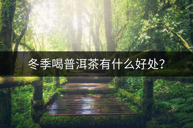 冬季喝普洱茶有什么好處？