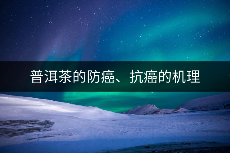 普洱茶的防癌、抗癌的機(jī)理