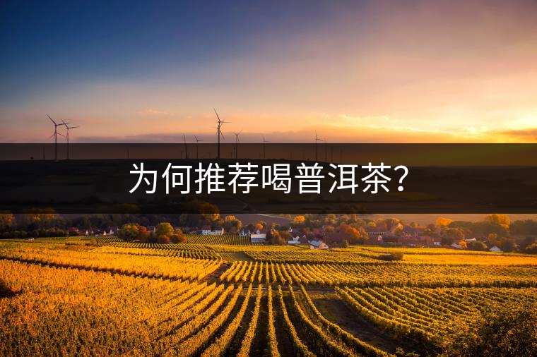 為何推薦喝普洱茶？