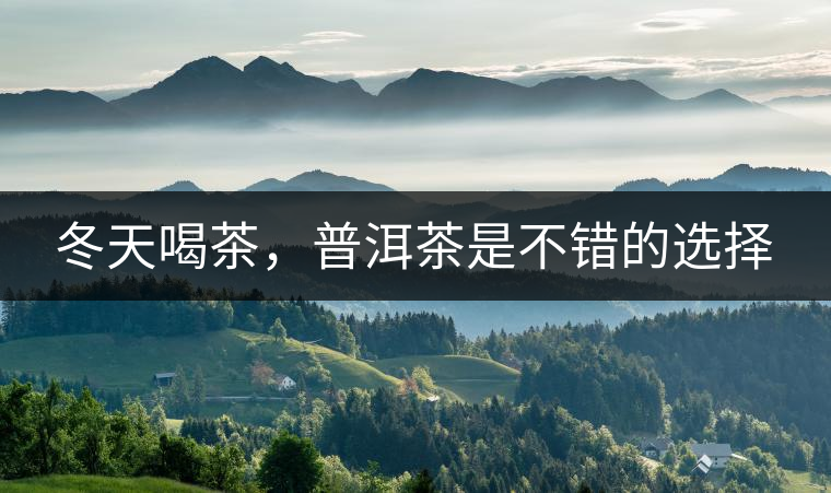 冬天喝茶，普洱茶是不錯(cuò)的選擇
