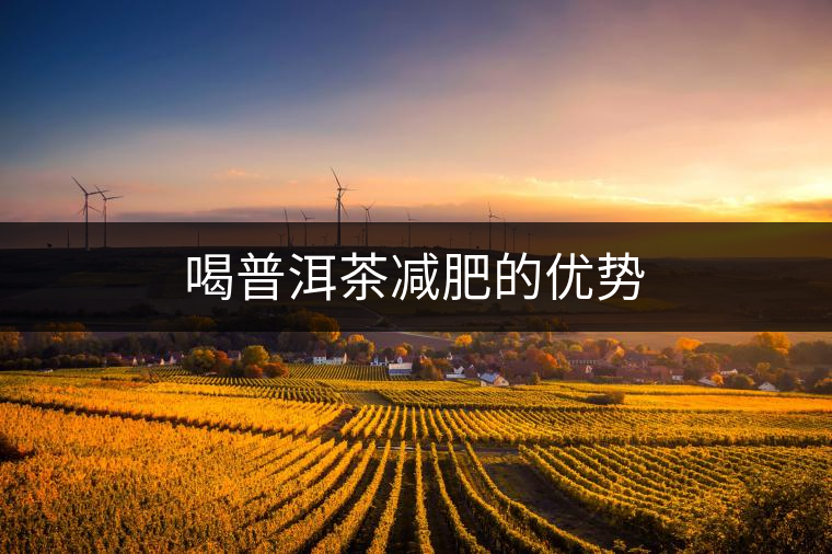 喝普洱茶減肥的優(yōu)勢