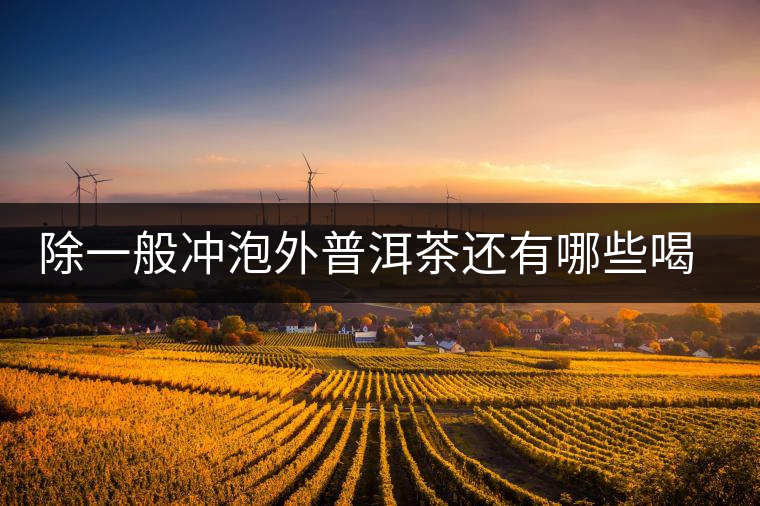 除一般沖泡外普洱茶還有哪些喝法？