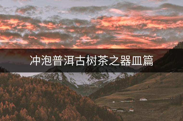 沖泡普洱古樹(shù)茶之器皿篇