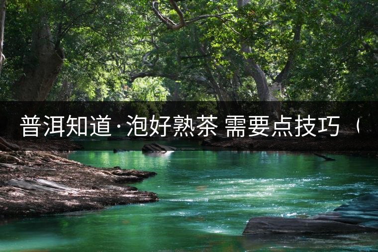 普洱知道·泡好熟茶 需要點(diǎn)技巧(3) 普洱知道·泡好熟茶 需要點(diǎn)技巧(3)