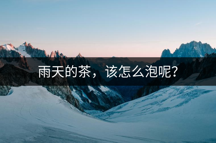 雨天的茶，該怎么泡呢？