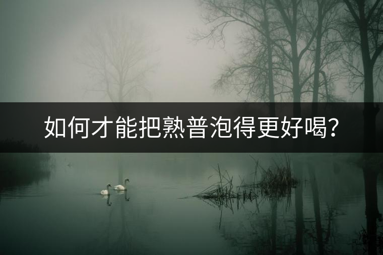 如何才能把熟普泡得更好喝？