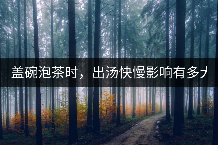 蓋碗泡茶時，出湯快慢影響有多大？