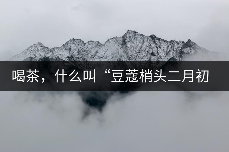 喝茶，什么叫“豆蔻梢頭二月初”？