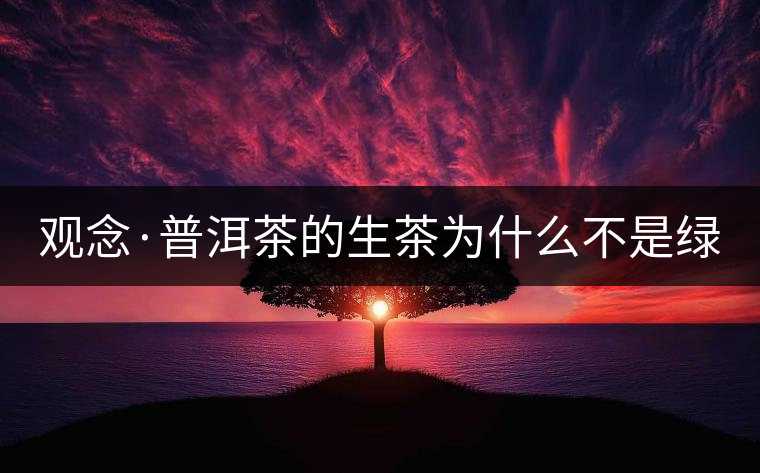 觀念·普洱茶的生茶為什么不是綠茶？