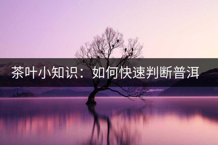 茶葉小知識：如何快速判斷普洱茶品級高低？