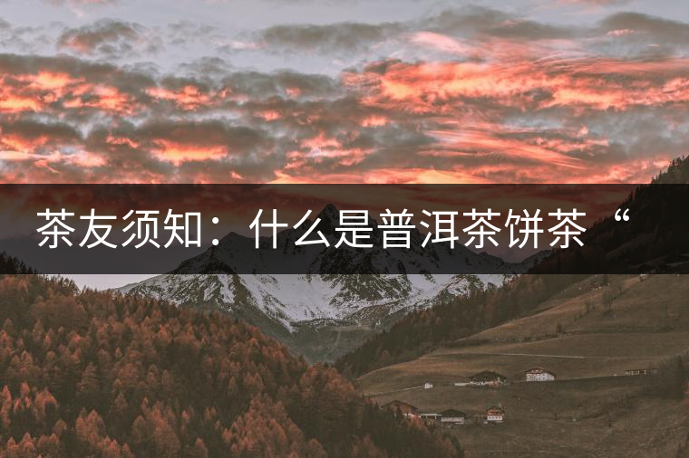 茶友須知：什么是普洱茶餅茶“八病”？如何鑒別？