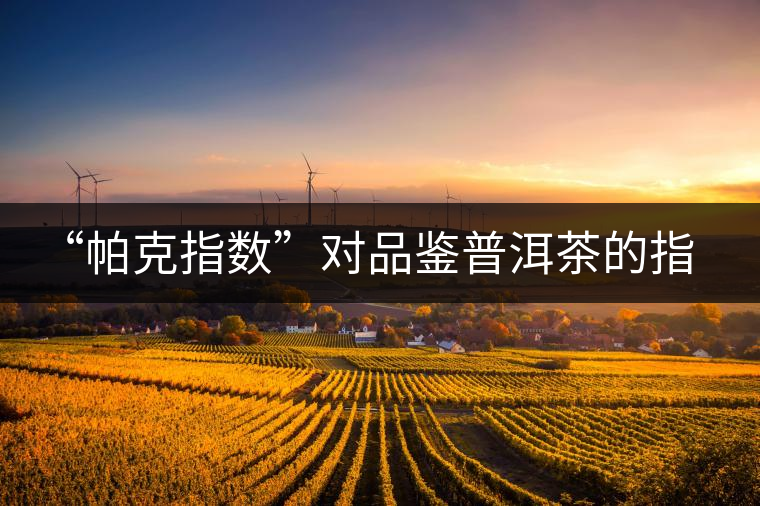 “帕克指數(shù)”對品鑒普洱茶的指導(dǎo)意義在哪里？「跨界有道」